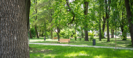 Park Bronowicki szykuje się do otwarcia. Mieszkańcy zobaczą go już na wakacje